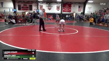106 lbs Cons. Semi - Dakota Aney, Columbus Community/WMU vs Jayden Steapp, Solon