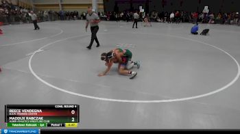 87 lbs Cons. Round 4 - Maddux Rabczak, Alber Athletics Wrestling Club vs Reece Vendegna, B.A.M. Training Center