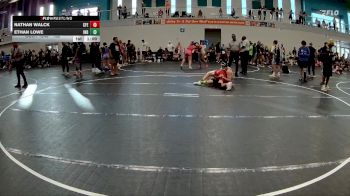 132 lbs Cons. Round 3 - Ethan Lowe, Individual vs Nathan Walck, Central Florida Elite