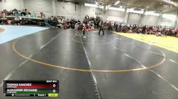 138 lbs Cons. Round 2 - Thomas Sanchez, Coronado vs Alexander DeCianne, Lakewood