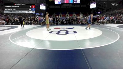 215 lbs Champ. Rd Of 128 - Elliot Havlish, WI vs Jackson Lee, MN