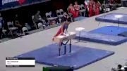 Ian Sandoval - Pommel Horse, WOGA - 2021 US Championships