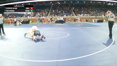 D2-113 lbs Semifinal - Carson Blum, Lowell HS vs Tim Hanna, North Branch HS