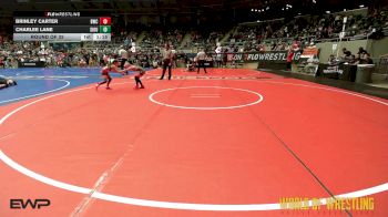 60 lbs Round Of 32 - Brinley Carter, Bartlesville Wrestling Club vs Charlee Lane, Siouxland Wrestling Academy