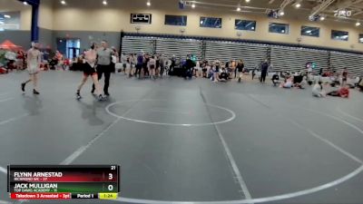 110 lbs Round 4 (8 Team) - Jack Mulligan, Top Dawg Academy vs Flynn Arnestad, Richmond WC