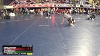 141 lbs Round 1 (16 Team) - Garrett Gehr, Alvernia University vs Bradley Rosen, North Central