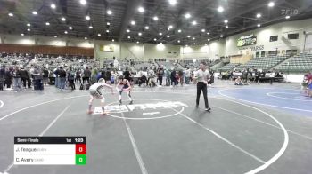 95 lbs Semifinal - Judah Teague, Durham Elite vs Connor Avery, Carbon WC