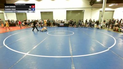 75 lbs Alex Strobl, North Carolina vs Caiden Cruz, New York Blue