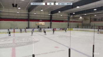 Replay: Home - 2024 Reapers U12 vs SS Kings U12 | Nov 29 @ 9 AM