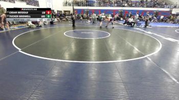 157 lbs Cons. Round 5 - Cedar Betzold, Lewiston vs Tucker Bridwell, Lake City