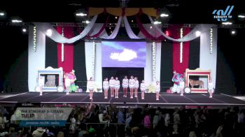 The Stingray Allstars - Tulip [2024 L2 Youth - Small] 2024 ASC Battle Under the Big Top Grand Nationals