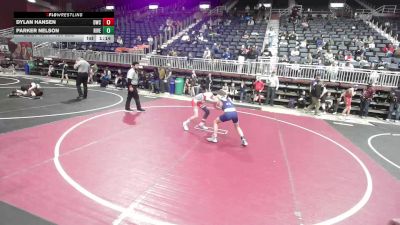 106 lbs Quarterfinal - Dylan Hansen, Dwc vs Parker Nelson, Riverton USAW