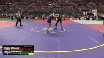 D2-190 lbs Cons. Round 1 - Angelo Gonzalez, Napoleon vs Lakota Hagenbaugh, Cloverleaf