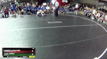 85 lbs Round 4 (6 Team) - Harper Hamacher, Minnesota Gold vs Gage Green, Idaho