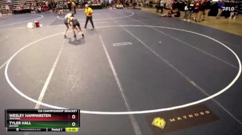 133 Championship Bracket Cons. Round 4 - Tyler Hall, Becker vs Wesley Hammarsten, Waconia