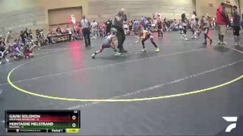 49 lbs Quarterfinals (8 Team) - Gavin Solomon, Backyard Brawlers vs Montagne Melstrand, Belding