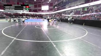 120 lbs Quarterfinal - Logan Casch, Timberline vs Adam Ostoja, Meridian