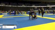 TIAGO ARABE vs GABRIEL GAUDIO World IBJJF Jiu-Jitsu No-Gi Championships