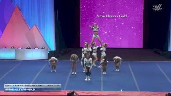 Strive Allstars - Gold [2026 L4 Senior Coed - D2 - Small Wild Card] 2026 The D2 Summit