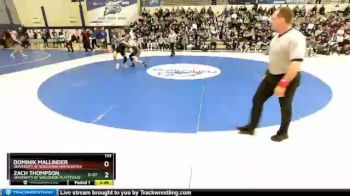 133 lbs Semifinal - Dominik Mallinder, University Of Wisconsin-Whitewater vs Zach Thompson, University Of Wisconsin-Platteville