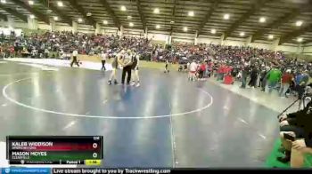 126 lbs Quarterfinal - Kaleb Widdison, American Fork vs Mason Moyes, Clearfield