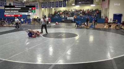 165 lbs Champ. Round 1 - Blake Delsman, Wisconsin-Platteville vs Aiden Cartwright, Loras