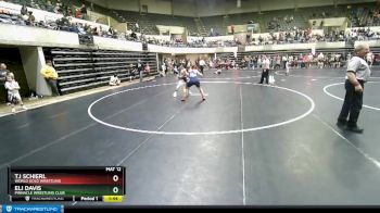 152 lbs Quarterfinal - Eli Davis, Pinnacle Wrestling Club vs TJ Schierl, World Gold Wrestling