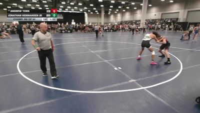 132 lbs Champ. Rd Of 64 - Andrew York, Ozark Youth Wrestling vs Jonathan Hermansen JR, Ohio