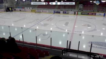 Replay: Home - 2025 Steelers vs Ice Blue U15 | Mar 21 @ 3 PM