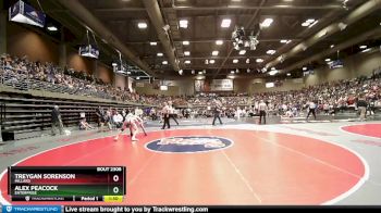 2A 165 lbs Cons. Round 3 - Treygan Sorenson, Millard vs Alex Peacock, Enterprise