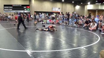 85 lbs Round 5 (6 Team) - Lukas Cala, NC National Team Gold vs Reece Fish, Alabama Elite Blue