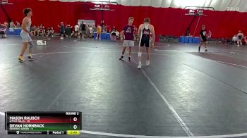132 lbs Round 2 (6 Team) - Mason Rausch, Little Falls vs Devan Hornback, Geneseo Green