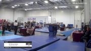 Elli Brownfield - Vault, Colorado Gym Inst. - 2021 Region 3 Women's Championships