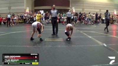 91 lbs Semis & 1st Wrestleback (8 Team) - Aden Digiovanni, Pitbulls Elite vs Tyler Bradley, Metro All Stars