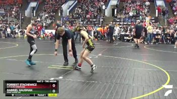 100 lbs Cons. Round 5 - Forrest Stachewicz, U.P. Elite Wrestling vs Gabriel Hausman, Dark Horse WC