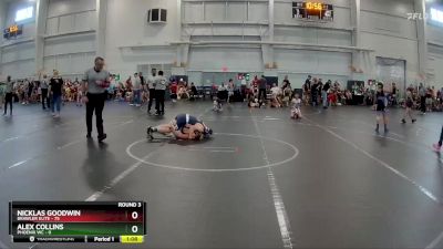 100 lbs Round 3 (6 Team) - Nicklas Goodwin, Brawler Elite vs Alex Collins, Phoenix WC