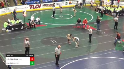 96 lbs Consi Of 32 #2 - Lauger Waldman, Williamsport vs Joey Gallo, Hempfield