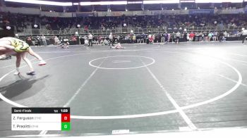 163 lbs Semifinal - Zander Ferguson, Other vs Tony Preolitti, East Fairmont, Fairmont, WV