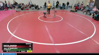 43 lbs Semifinal - Mattis Johnson, NB Elite Wrestling Club vs Dallas Bartlett, 3F Wrestling