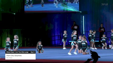 Palm City Dolphins - Rec Cheer [2023 Show Cheer 1 Ltd. Tiny Mite Large Day 3] 2023 Pop Warner National Cheer & Dance Championship