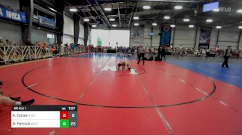 95 lbs Rr Rnd 1 - Kaleb Collae, Roughnecks vs Beau Fennick, TSB