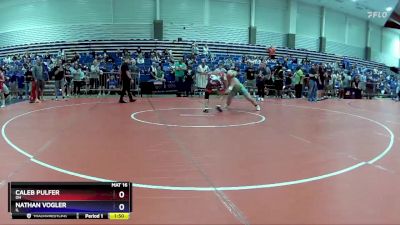 187 lbs Quarterfinal - Caleb Pulfer, OH vs Nathan Vogler, IL