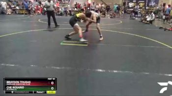 105/110 Quarterfinal - Braydon Tougas, Hartland Wrestling Club vs Che Rosario, Mi Pitbulls