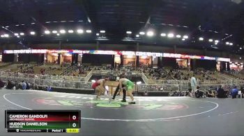 150 lbs Cons. Round 6 - Cameron Gandolfi, Archbishop Rummel vs Hudson Danielson, Buford HS