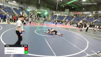 137 lbs 5th Place - Leo Matesevac, Montrose Elite vs Logan Mertens, Matpac WC