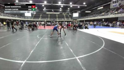 136 lbs Consolation - Blake Vanderpoel, Newark vs Kayden Carter, Wilmington