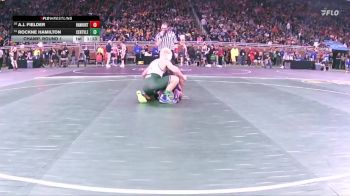 D4-138 lbs Champ. Round 1 - Rockne Hamilton, Centreville vs A.J. Fielder, Hanover-Horton