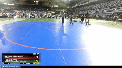 77 lbs Quarterfinal - Hayden Fernandez, NWWC vs Micah Pettis, Team Aggression Wrestling Club