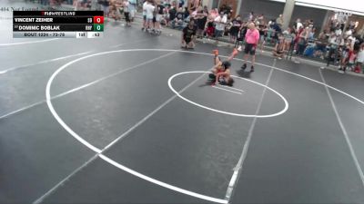 73-78 lbs 5th Place Match - Dominic Boblak, Demolition vs Vincent Zeiher, Super D