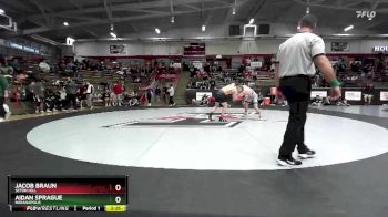 133 lbs Champ. Round 2 - Aidan Sprague, Indianapolis vs Jacob Braun, Seton Hill
